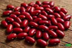 Scarlet Beans: The Rare Superfood with Ancient Roots