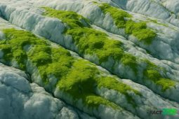 Glaciers with Green Algae Changing their Color
