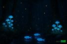 The science of bioluminescence reveals the magical glow in animals and fungi, sparking our curiosity about the light that lives in nature.