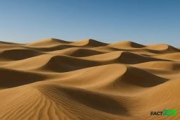Massive Sand Dunes That Move Like Ocean Waves